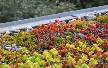 the cost of Ifield Green green roof installation