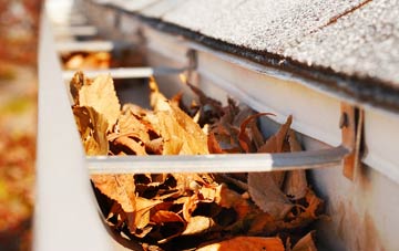 Ifield Green gutter cleaning companies