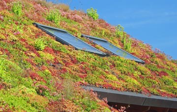 Ifield Green living roof systems